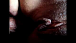 Ny pussy sy ny Boriky