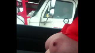 Australski lis zadirkuje kamiona