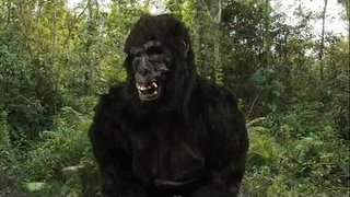 Kralj Don&amp;#039;40oz kvarova!