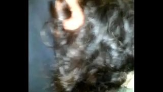 ���டைத்து கழுதை என் குறும்பு